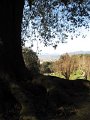 Boboli Gardens-39
